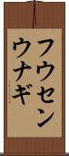 フウセンウナギ Scroll