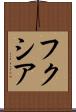 フクシア Scroll