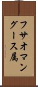 フサオマングース属 Scroll