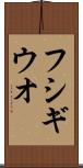 フシギウオ Scroll