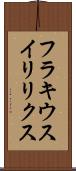 フラキウスイリリクス Scroll