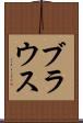 ブラウス Scroll