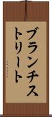 ブランチストリート Scroll