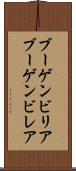 ブーゲンビリア Scroll