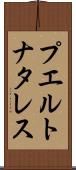 プエルトナタレス Scroll