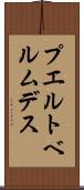 プエルトベルムデス Scroll