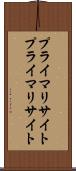 プライマリサイト Scroll