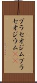 プラセオジム Scroll