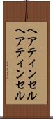 ヘアティンセル Scroll