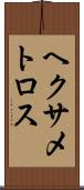 ヘクサメトロス Scroll