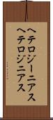 ヘテロジーニアス Scroll