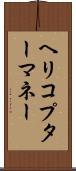 ヘリコプターマネー Scroll