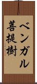 ベンガル菩提樹 Scroll