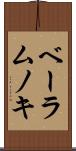 ベーラムノキ Scroll