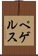 ペゲルス Scroll