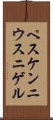 ペスケンニウス・ニゲル Scroll