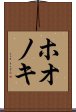 ホオノキ Scroll