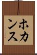 ホカンス Scroll