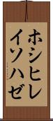 ホシヒレイソハゼ Scroll