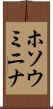 ホソウミニナ Scroll