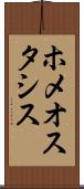 ホメオスタシス Scroll