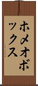 ホメオボックス Scroll