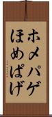 ホメパゲ Scroll