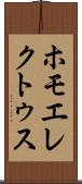 ホモ・エレクトゥス Scroll