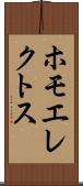 ホモエレクトス Scroll