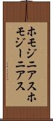 ホモジニアス Scroll