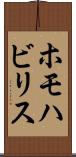 ホモハビリス Scroll