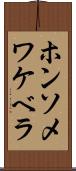 ホンソメワケベラ Scroll