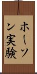 ホーソン実験 Scroll