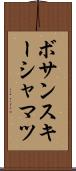 ボサンスキーシャマツ Scroll