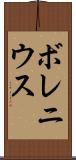 ボレニウス Scroll