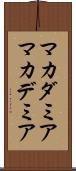 マカダミア Scroll