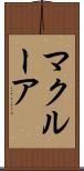 マクルーア Scroll