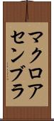 マクロ・アセンブラ Scroll