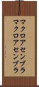 マクロアセンブラ Scroll