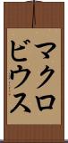 マクロビウス Scroll