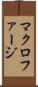マクロファージ Scroll