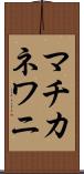 マチカネワニ Scroll