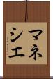 マネシエ Scroll