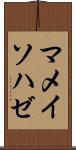 マメイソハゼ Scroll