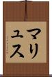 マリュス Scroll
