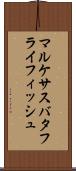 マルケサスバタフライフィッシュ Scroll