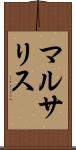 マルサリス Scroll