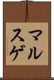 マルスゲ Scroll
