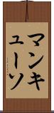 マンキューソ Scroll