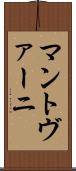 マントヴァーニ Scroll